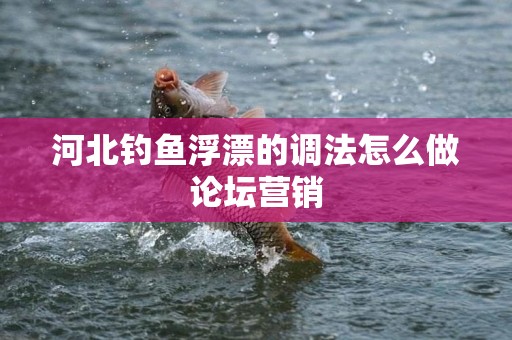 河北钓鱼浮漂的调法怎么做论坛营销