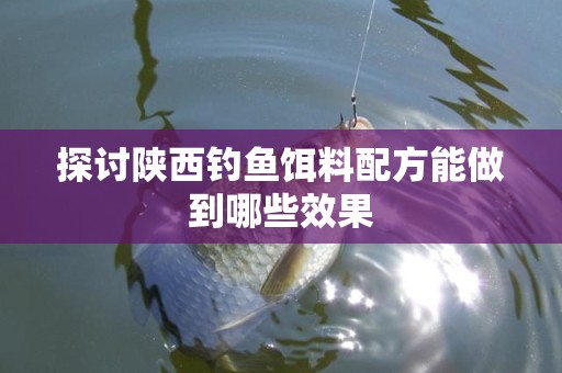 探讨陕西钓鱼饵料配方能做到哪些效果