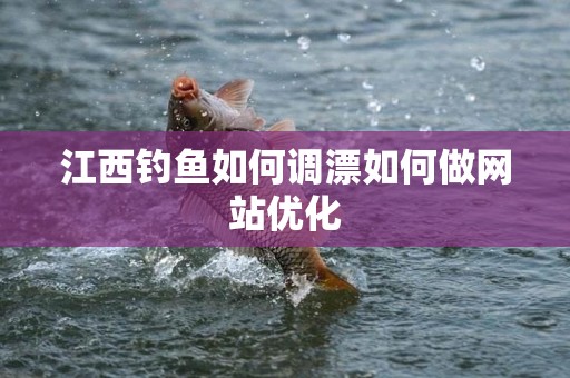 江西钓鱼如何调漂如何做网站优化