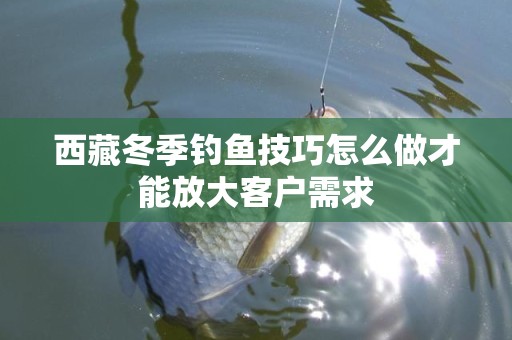 西藏冬季钓鱼技巧怎么做才能放大客户需求