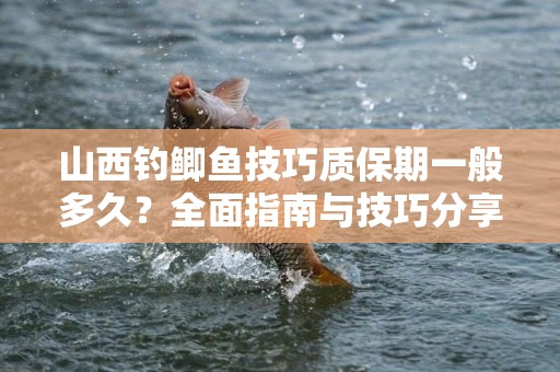山西钓鲫鱼技巧质保期一般多久？全面指南与技巧分享