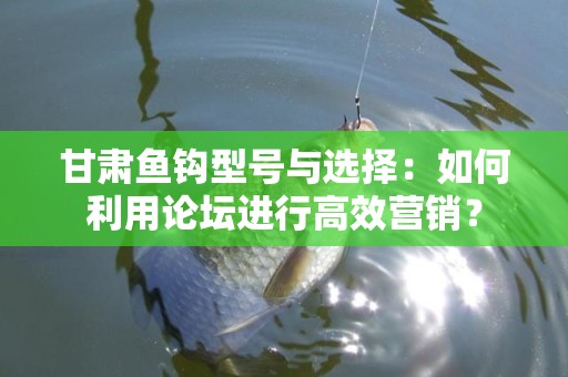 甘肃鱼钩型号与选择：如何利用论坛进行高效营销？