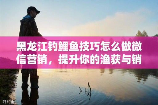 黑龙江钓鲤鱼技巧怎么做微信营销，提升你的渔获与销量
