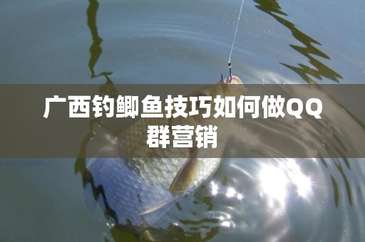 广西钓鲫鱼技巧如何做QQ群营销