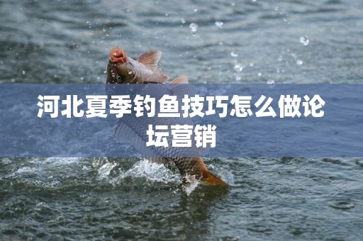 河北夏季钓鱼技巧怎么做论坛营销