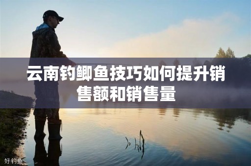 云南钓鲫鱼技巧如何提升销售额和销售量