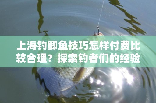 上海钓鲫鱼技巧怎样付费比较合理？探索钓者们的经验分享