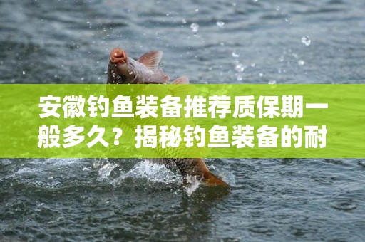 安徽钓鱼装备推荐质保期一般多久？揭秘钓鱼装备的耐用性与保障