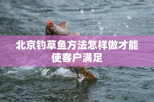 北京钓草鱼方法怎样做才能使客户满足