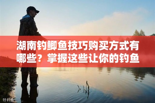 湖南钓鲫鱼技巧购买方式有哪些？掌握这些让你的钓鱼之旅更轻松！