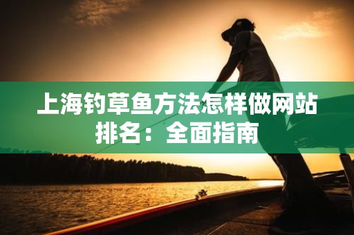 上海钓草鱼方法怎样做网站排名：全面指南