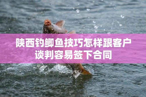 陕西钓鲫鱼技巧怎样跟客户谈判容易签下合同