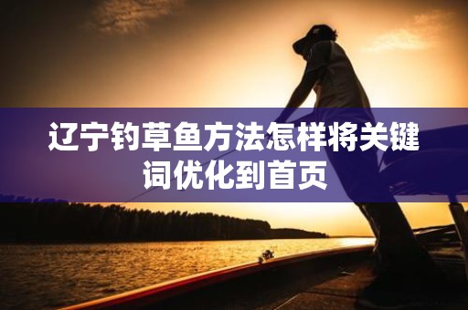 辽宁钓草鱼方法怎样将关键词优化到首页