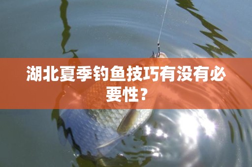 湖北夏季钓鱼技巧有没有必要性？