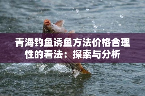 青海钓鱼诱鱼方法价格合理性的看法：探索与分析