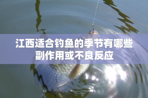 江西适合钓鱼的季节有哪些副作用或不良反应
