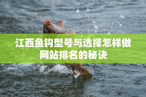 江西鱼钩型号与选择怎样做网站排名的秘诀