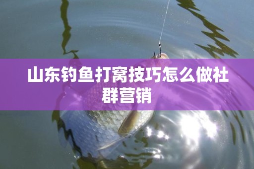 山东钓鱼打窝技巧怎么做社群营销