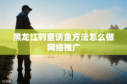 黑龙江钓鱼诱鱼方法怎么做网络推广