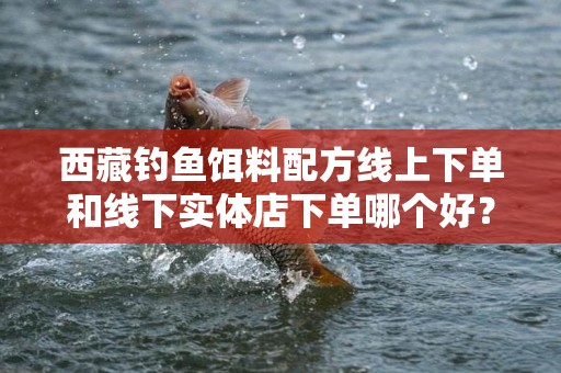西藏钓鱼饵料配方线上下单和线下实体店下单哪个好？