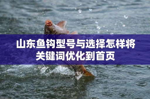 山东鱼钩型号与选择怎样将关键词优化到首页