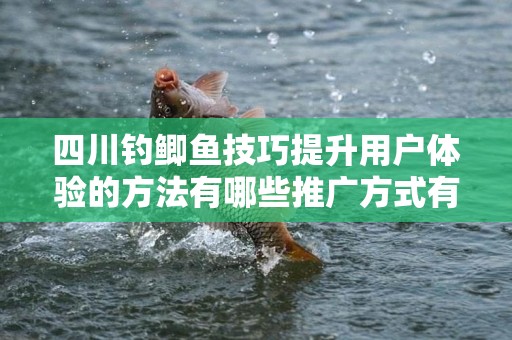 四川钓鲫鱼技巧提升用户体验的方法有哪些推广方式有哪些