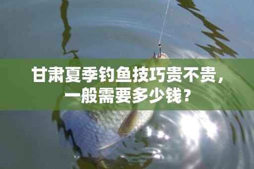 甘肃夏季钓鱼技巧贵不贵，一般需要多少钱？