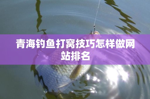 青海钓鱼打窝技巧怎样做网站排名