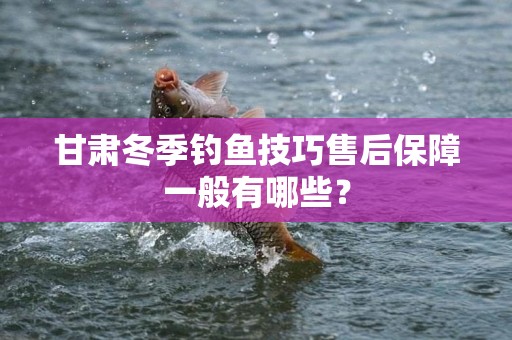 甘肃冬季钓鱼技巧售后保障一般有哪些？