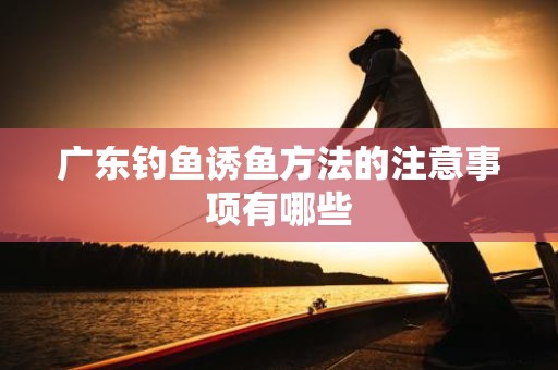广东钓鱼诱鱼方法的注意事项有哪些