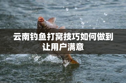 云南钓鱼打窝技巧如何做到让用户满意