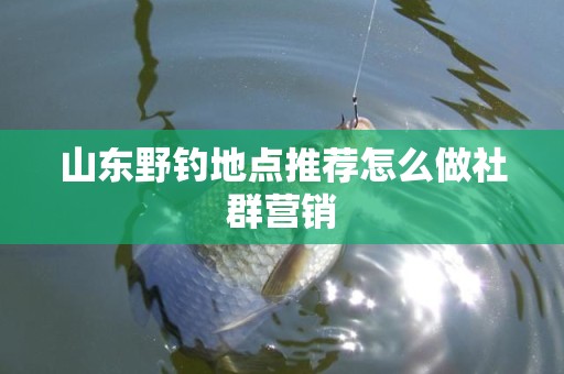 山东野钓地点推荐怎么做社群营销