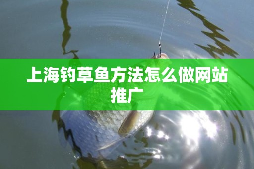 上海钓草鱼方法怎么做网站推广