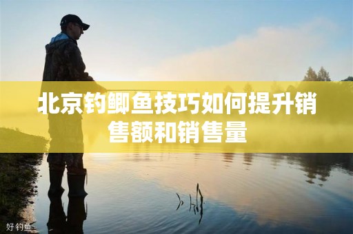 北京钓鲫鱼技巧如何提升销售额和销售量