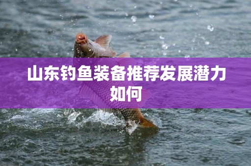 山东钓鱼装备推荐发展潜力如何