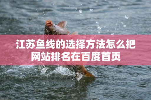 江苏鱼线的选择方法怎么把网站排名在百度首页