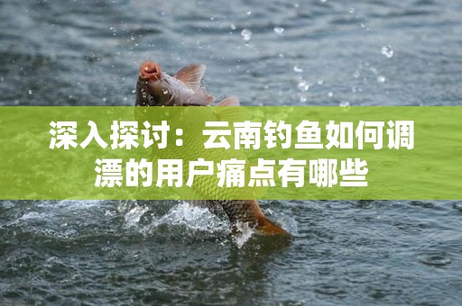 深入探讨：云南钓鱼如何调漂的用户痛点有哪些