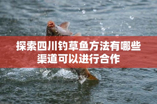 探索四川钓草鱼方法有哪些渠道可以进行合作