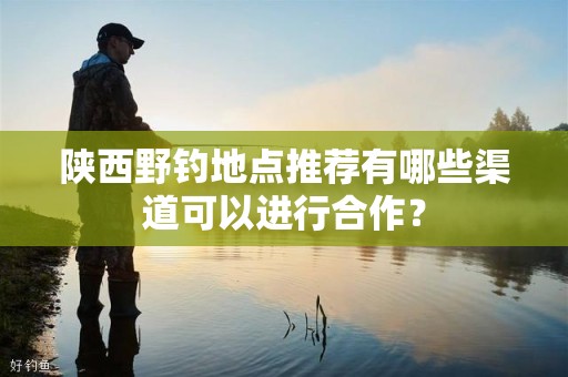陕西野钓地点推荐有哪些渠道可以进行合作？