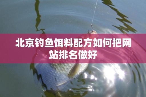 北京钓鱼饵料配方如何把网站排名做好