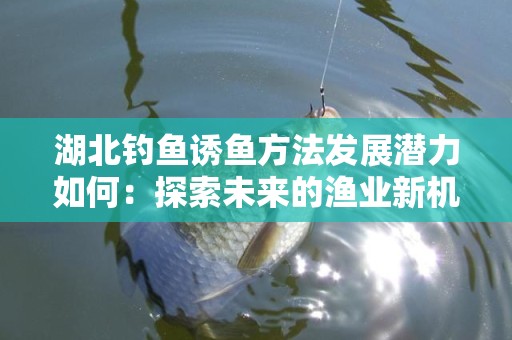 湖北钓鱼诱鱼方法发展潜力如何：探索未来的渔业新机遇