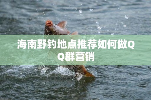 海南野钓地点推荐如何做QQ群营销