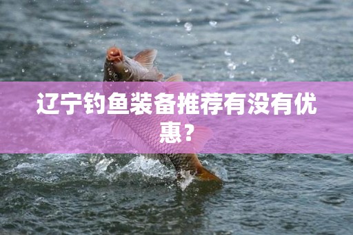 辽宁钓鱼装备推荐有没有优惠？