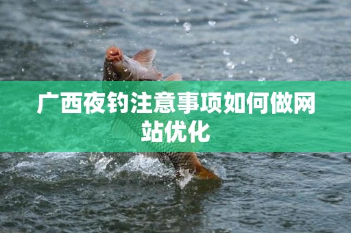 广西夜钓注意事项如何做网站优化