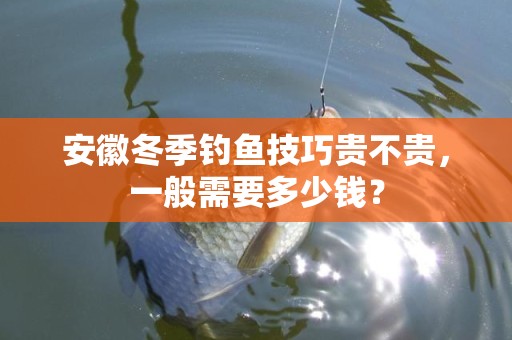 安徽冬季钓鱼技巧贵不贵，一般需要多少钱？