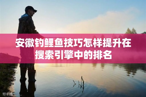 安徽钓鲤鱼技巧怎样提升在搜索引擎中的排名