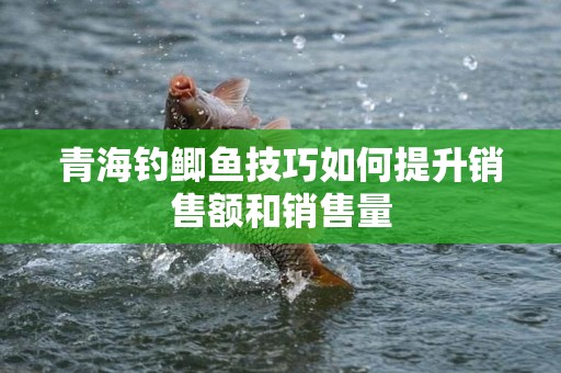 青海钓鲫鱼技巧如何提升销售额和销售量