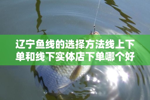 辽宁鱼线的选择方法线上下单和线下实体店下单哪个好？