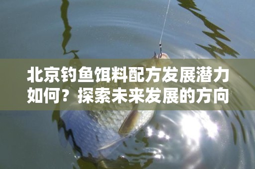 北京钓鱼饵料配方发展潜力如何？探索未来发展的方向