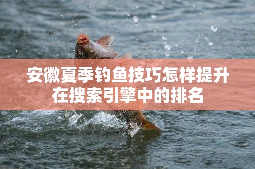 安徽夏季钓鱼技巧怎样提升在搜索引擎中的排名